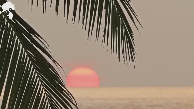 Gentleman Lounge - 3 Hours Deep House Mix [2025] (2) смотреть онлайн