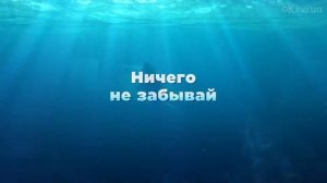 В поисках Дори (Finding Dory) 2016. [1080p]