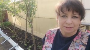 Спасаю урожай. Все для красоты и уюта. Делаю новую грядку с бордюром. Жизнь семьи в деревне.