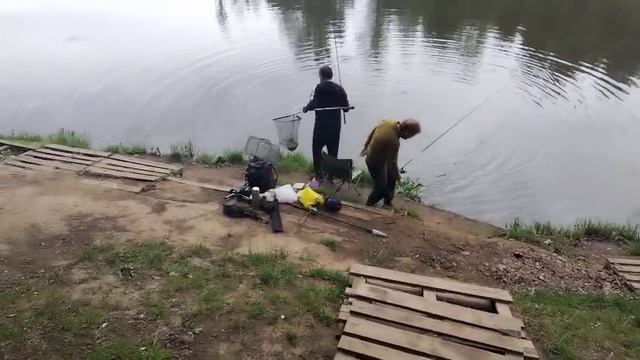 Поимка Карпа смотреть онлайн