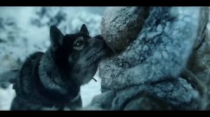 Того / Togo 2019