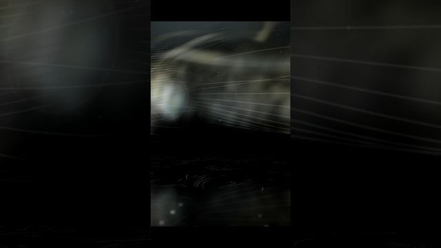 продолжаем гонки NFS #32 смотреть онлайн
