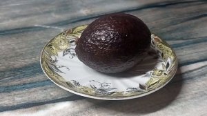 🥑Выращиваем авокадо из косточки🥑Авокадо Хасс🥑Авокадо на подоконнике🥑