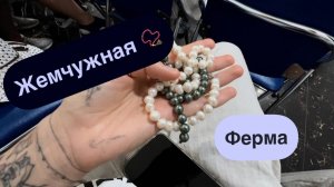 Дегустация чая и кофе☕Жемчужная ферма📿Драгоценные камни💎Бесплатная экскурсия от БиблиоГлобус Ч.2