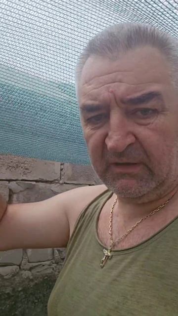 Анонс прямого эфира 31/05/2025 смотреть онлайн