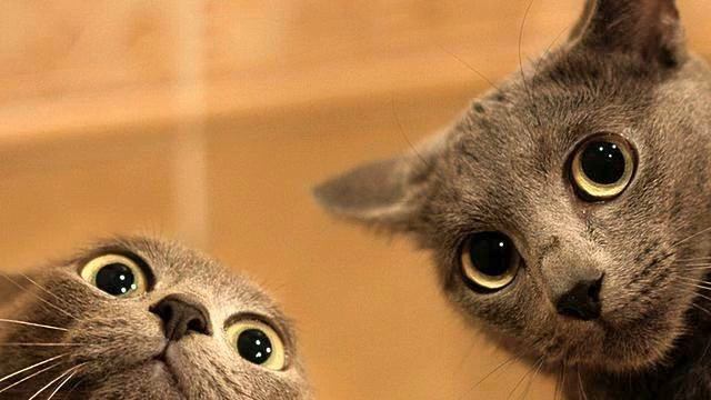 Музыка из российских фильмов. Шикарное видео. Полет...