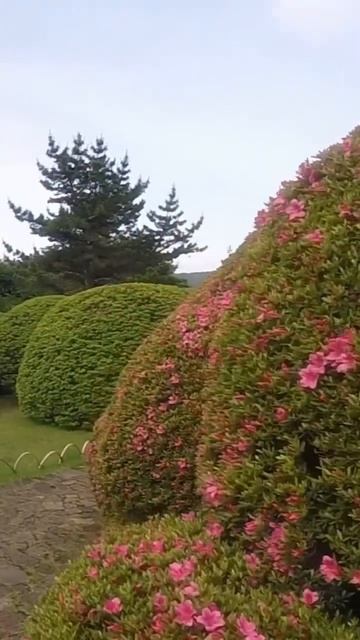 Хаконе. Япония смотреть онлайн