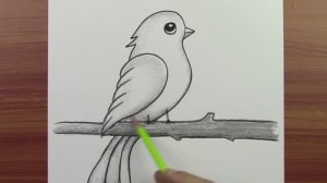 Как нарисовать удивительную птицу простым способом для начинающих, легкий рисунок животного