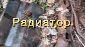 Я поехал по лесной дороге в глушь. Весь лес был завален металлоломом среди которого цветной.