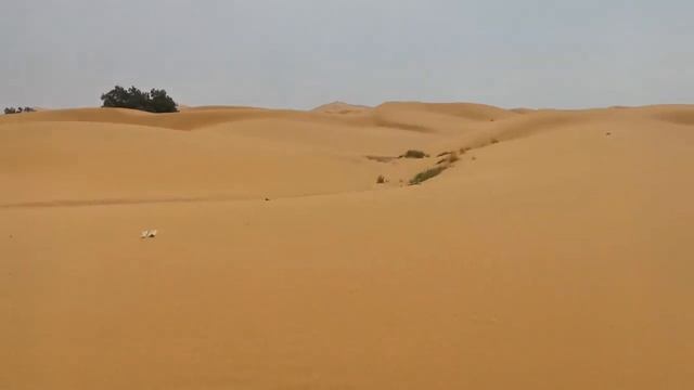 Африка Настоящая пустыня Mad Max Dune
