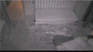 Взлом ip камеры - Ребёнок 4