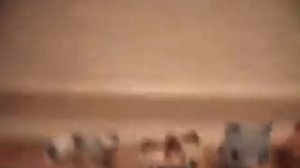 Сапфир (1 сезон 1 серия)