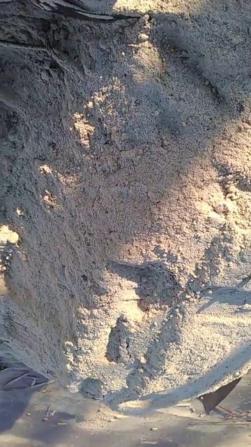 Опилки с доставкой Воронеж и область.89204444142 смотреть онлайн