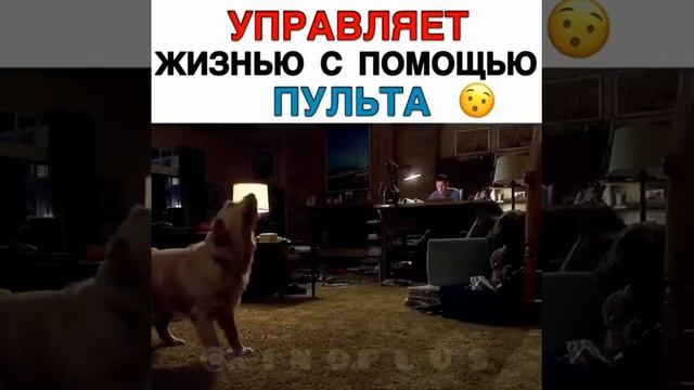 Фильм: КЛИК: С ПУЛЬТОМ ПО ЖИЗНИ (2012) смотреть онлайн