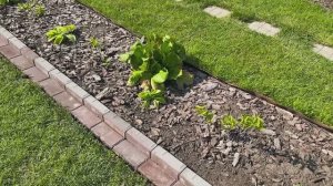 Садовый бордюр из брусчатки! И другие рабочие моменты🏡