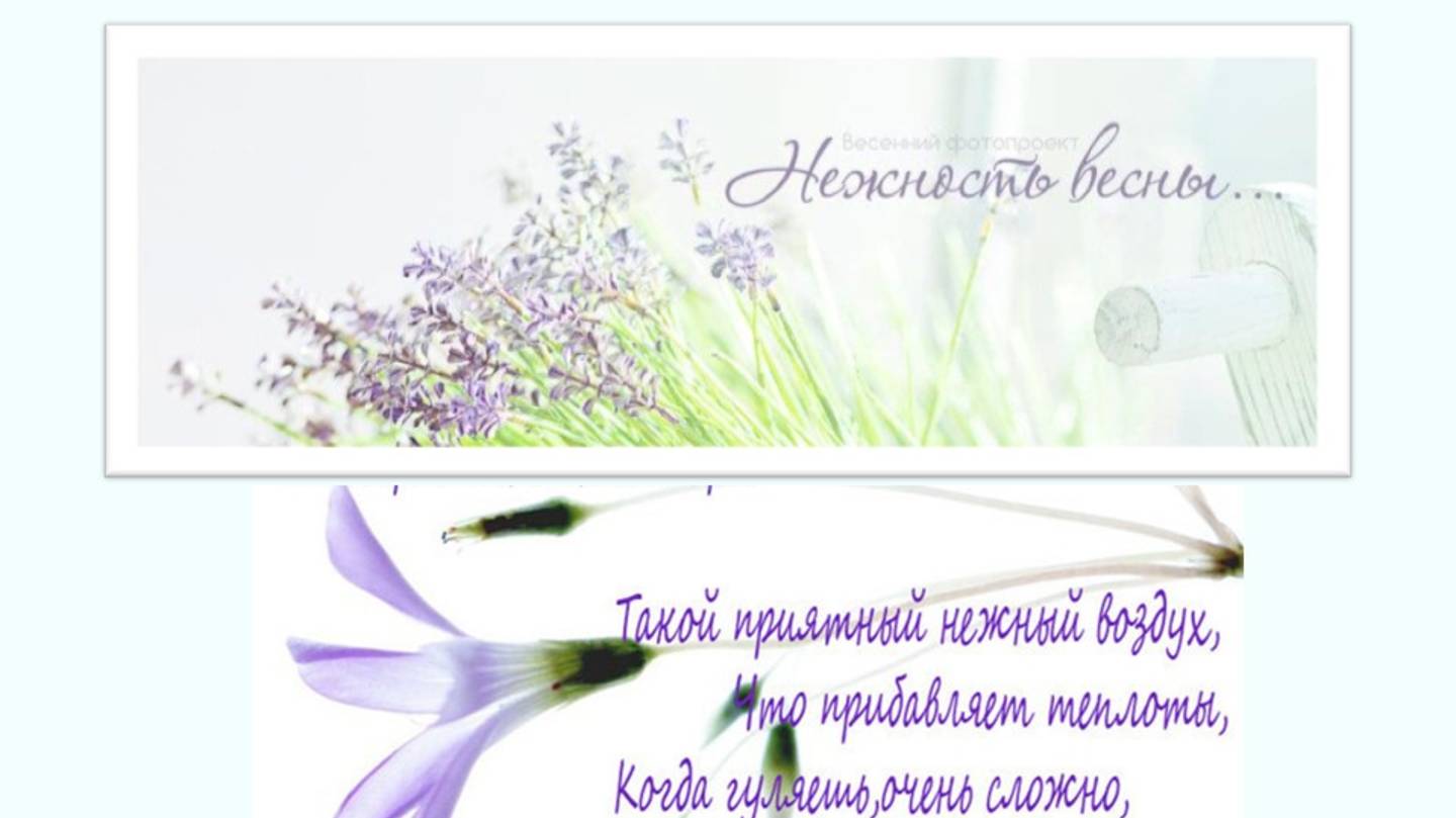 НЕЖНОСТЬ ВЕСНЫ смотреть онлайн