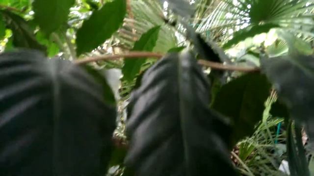 Немец офигевает в России - E452 - Екатеринбург - день 14 - в? смотреть онлайн