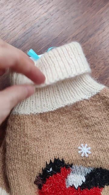 Одежда для собак