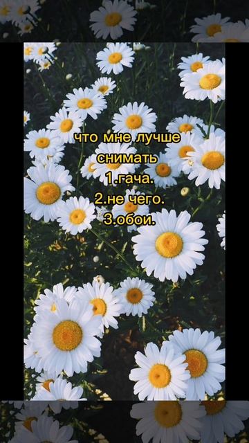 что мне лучше снимать? смотреть онлайн