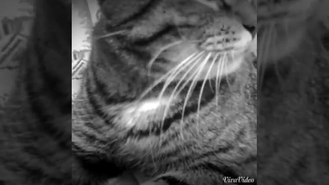 Фильм Ночной кошмар смотреть онлайн