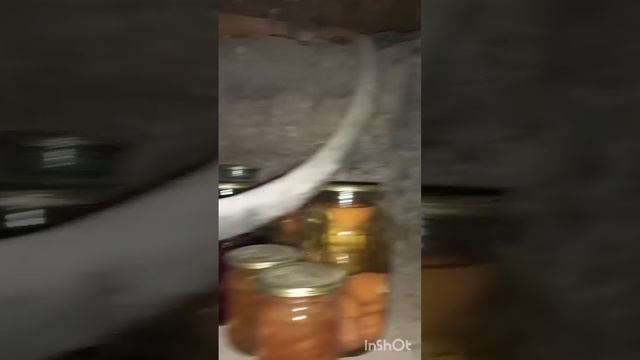 #погребок #деревня #заготовки #деревенскаяжизнь #домик смотреть онлайн