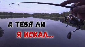 Наноколебалки Клеваш - спиннинг экстра ультралайт - окунь плотва