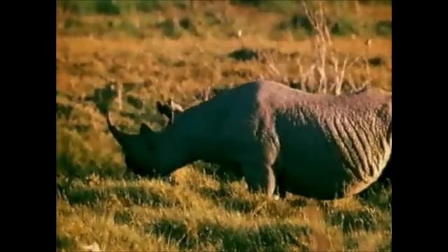 1 апреля 2012.Питер-День дурака.Лемболово..avi