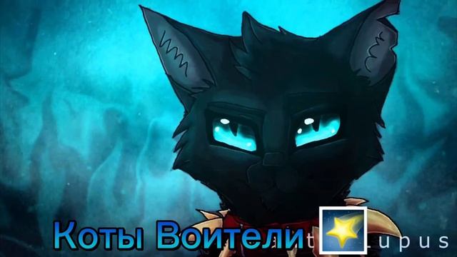 Коты Воители Бич Клип — Одиночество. смотреть онлайн