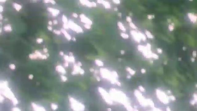 Манускрипт ниндзя-Ninja Scroll-Tarja Turunen-Oasis-Weresan