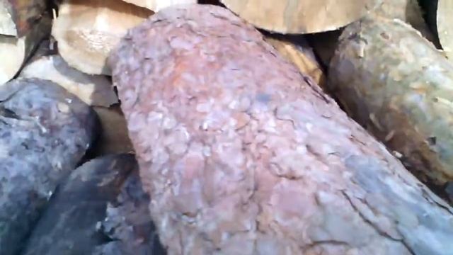 Тупой волчонок 3 серия 1 сезон " создание игогоши " смотреть онлайн