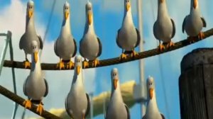 Чайки из м ф  В поисках Немо