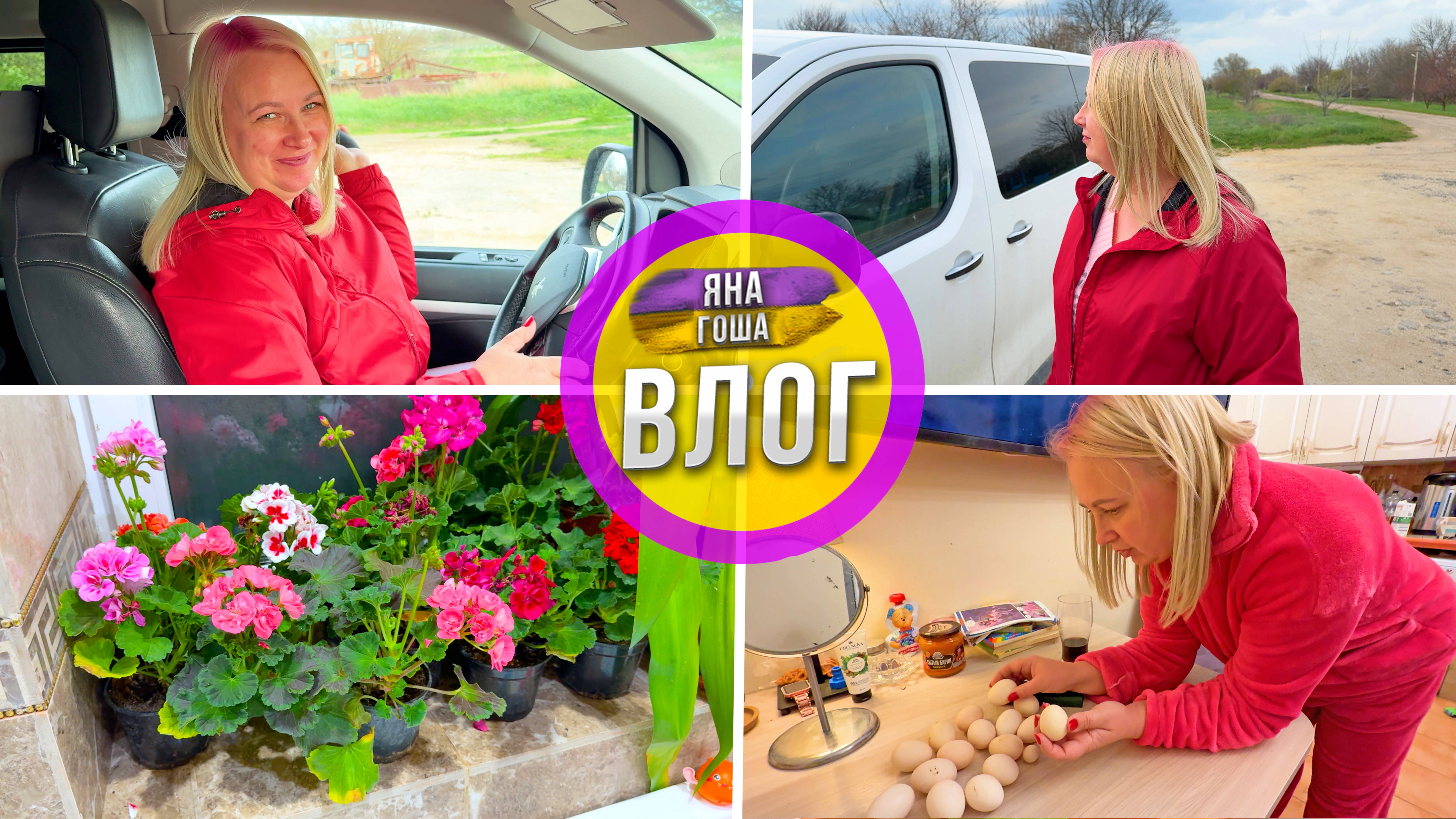 Новая прическа и новый имидж! Мини-распаковка! Спрятали герань! Про кур. Волшебное цветочное окно. смотреть онлайн