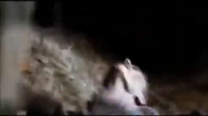 Пока станица спит (сериал 2013 – 2014)