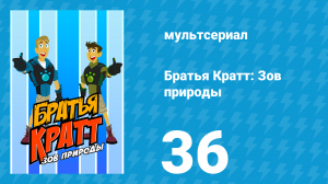 Братья Кратт: Зов природы 1 сезон 36 серия «Летучая мышь в брауни» (мультсериал, 2011)