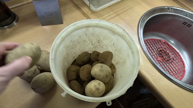 Картошка с дачи сморщилась и проросла приходится покупать в магазине. смотреть онлайн