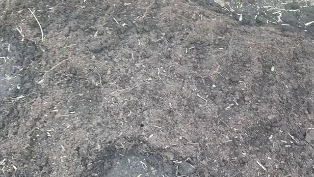 Экономное меню на 2 дня смотреть онлайн