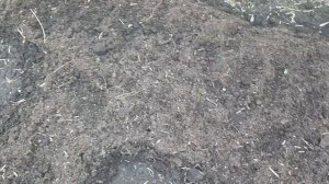 Экономное меню на 2 дня