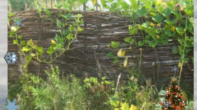 вып 5 1Фильм концерт 2012 ч1 Земля до начала Времен смотреть онлайн