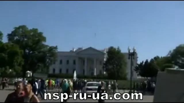 Дистрибьюторы NSP в Нью-Йорке смотреть онлайн