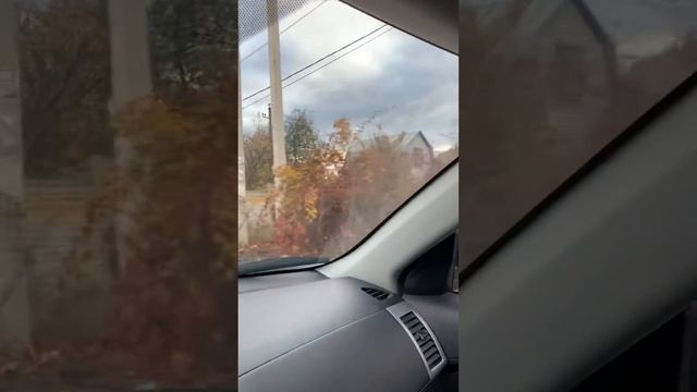 Таинственный лес 🌳.. но ... нет ) смотреть онлайн