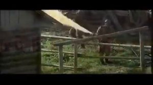 Утомленные солнцем 2: Предстояние