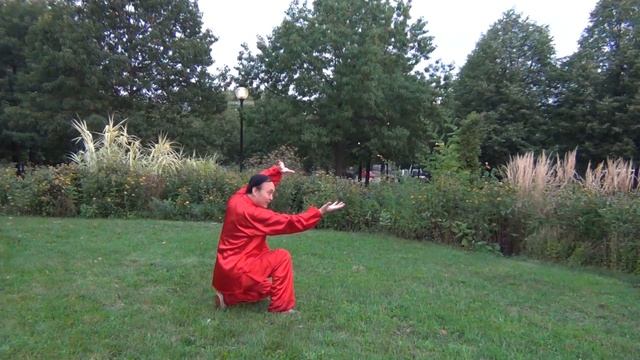 белая змея бросается из норы, змея, Шаолинь13 захватов когтем, прямолинейная форма12 смотреть онлайн