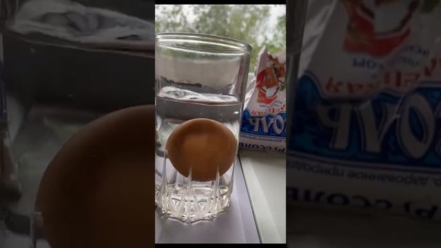 Опыт «Подводная лодка»