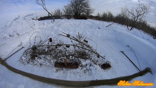 Ловля певчих птиц тайником - Долгожданный выход 2019 - 26 ч. смотреть онлайн