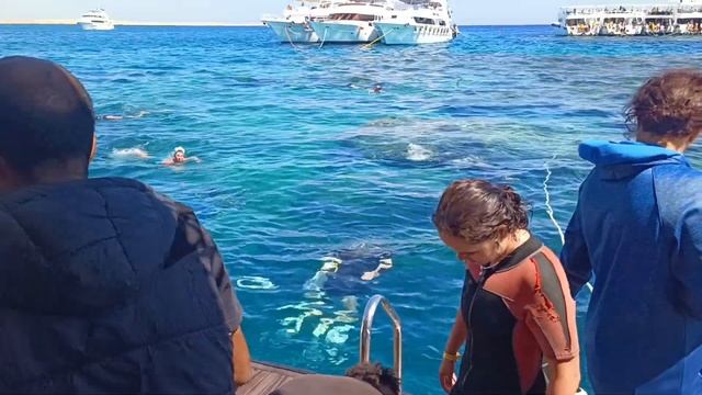 Египет The Grand Hotel Sharm El Sheikh 5* 2025 отзывы смотреть онлайн