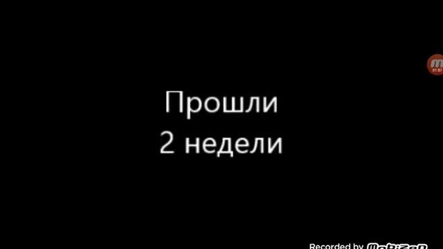 Как Стив и Алекс полюбили друг друга и как умерли смотреть онлайн