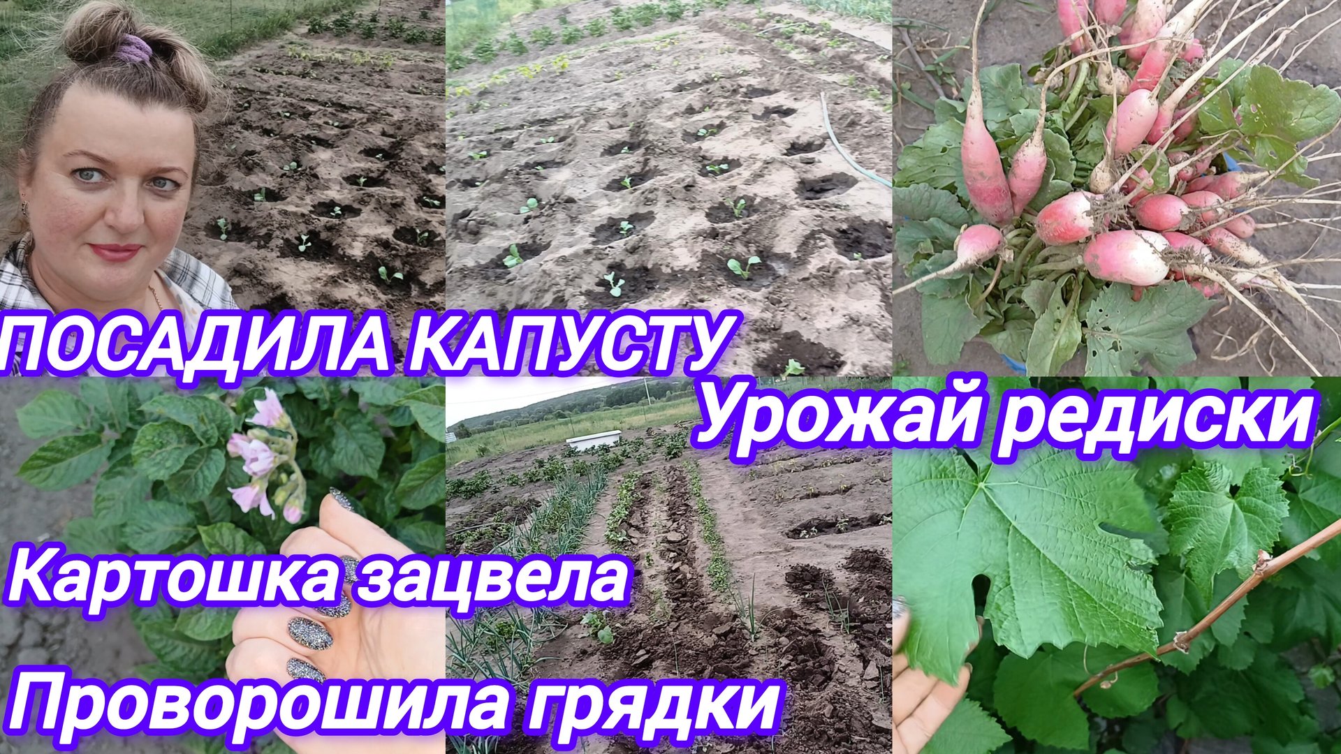 ПОСАДИЛА КАПУСТУ. СОСТОЯНИЕ ГУСЯТ СТАБИЛЬНОЕ. ПРОРЫХЛИЛА РАСТИШКИ смотреть онлайн