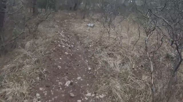 Крымские каникулы смотреть онлайн