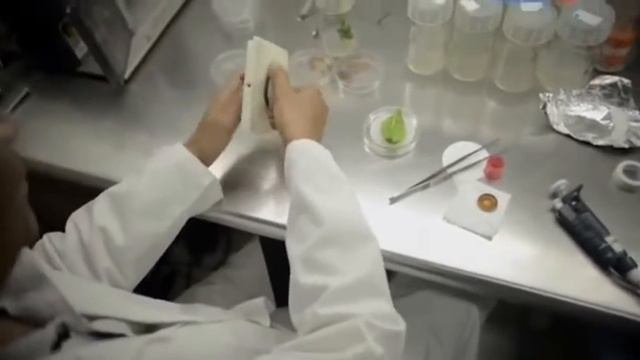 Зерна и плевелы Фильм Константина Семина смотреть онлайн