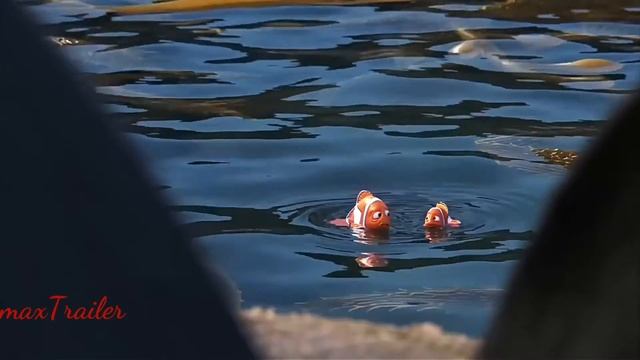 В поисках Дори